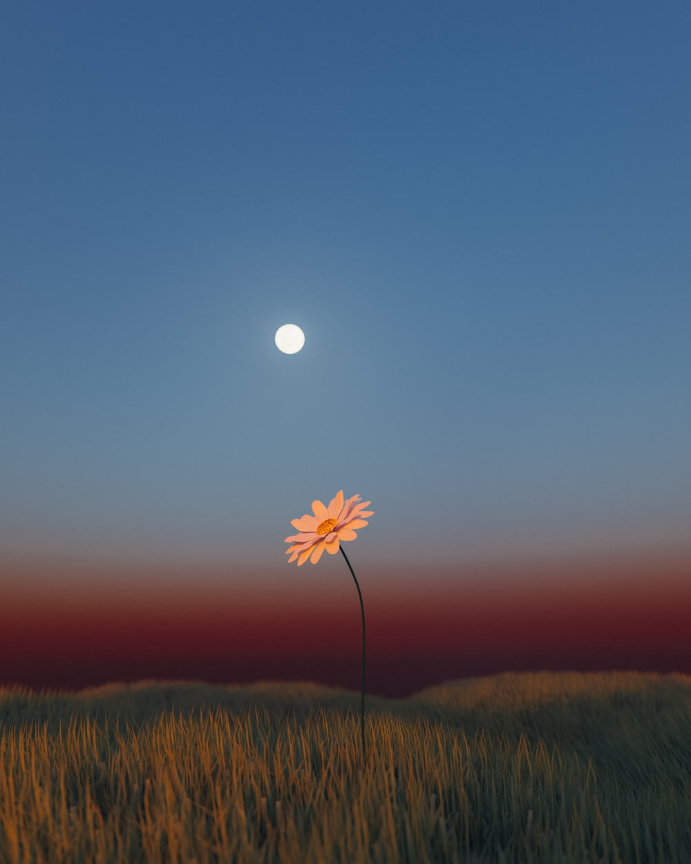 a flower in a field