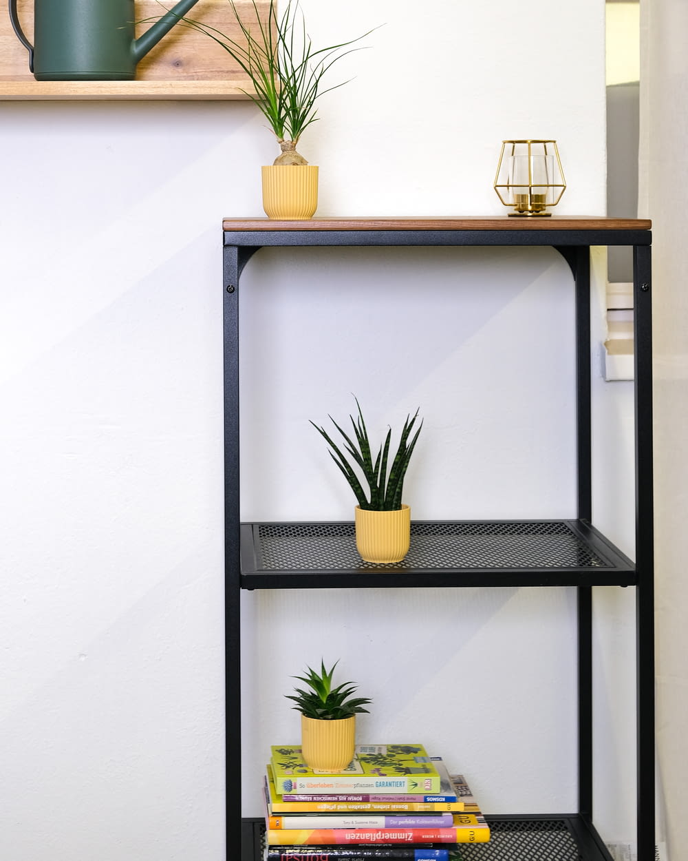 a shelf with books and plants on it