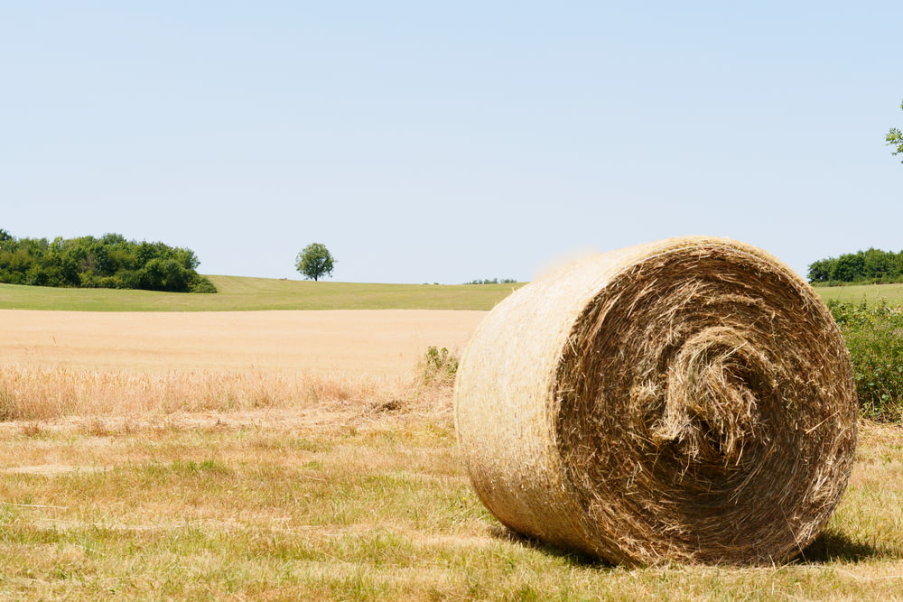 a bale of hay in a field