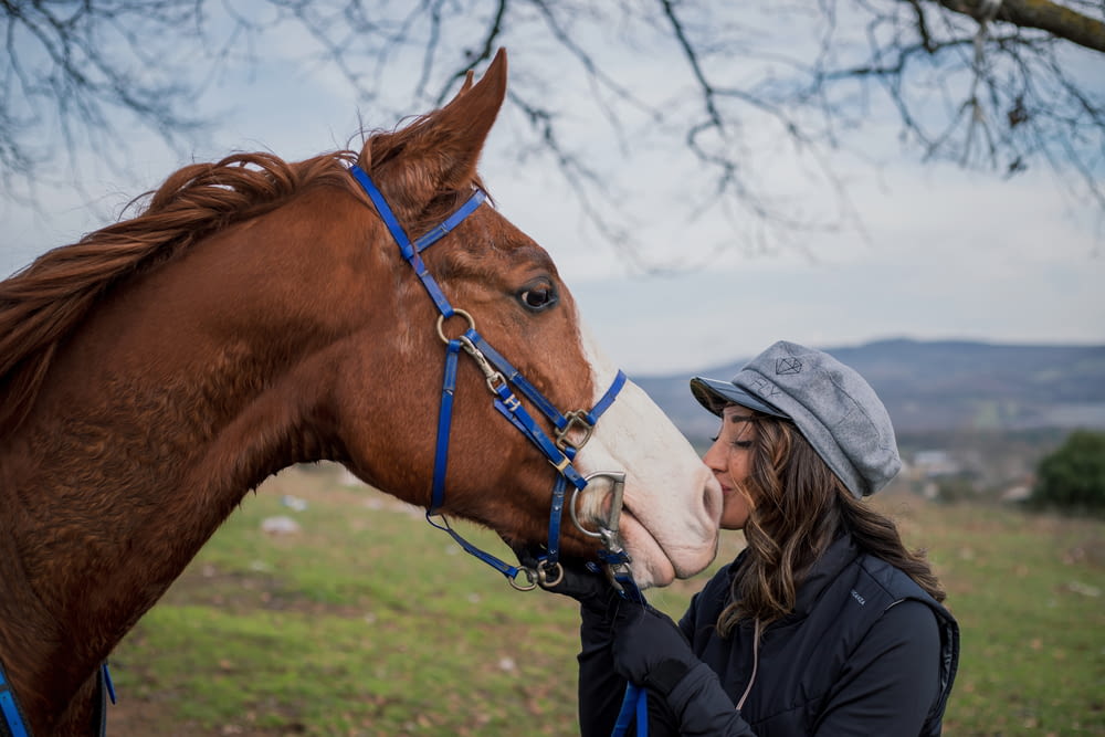 a person kissing a horse