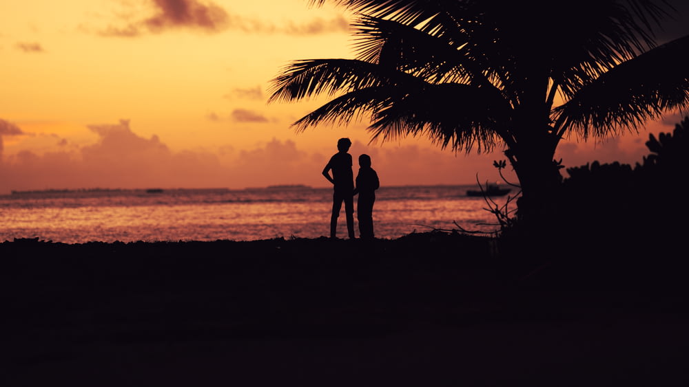 a couple of people standing on a beach at sunset