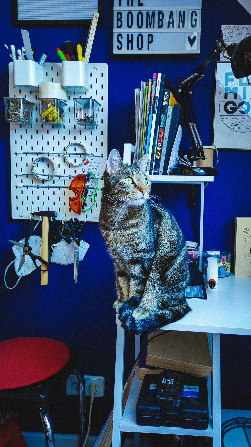 a cat sitting on a desk in a room