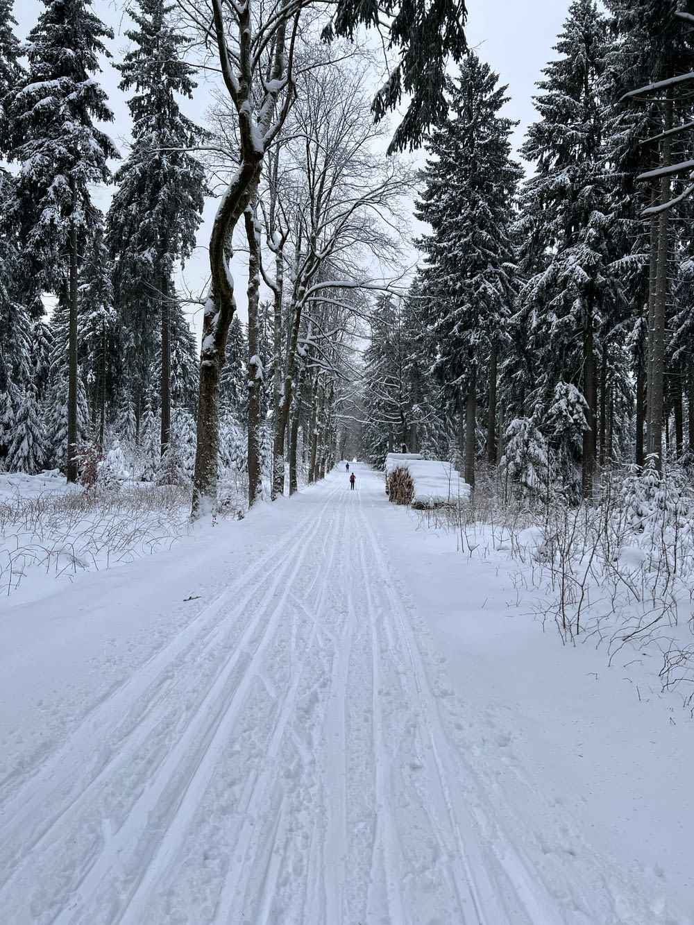 a snow covered road in the middle of a forest