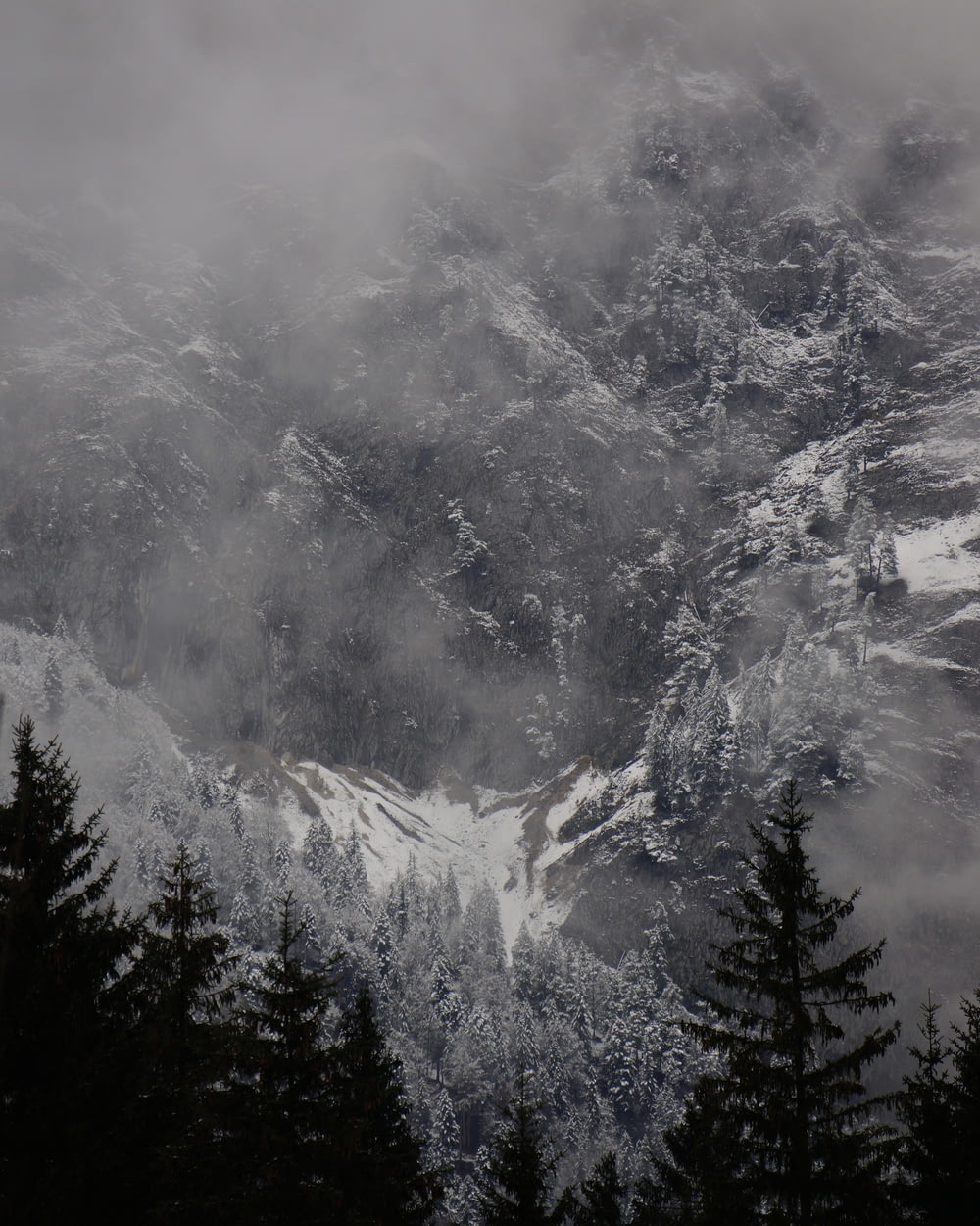 una montagna coperta di neve circondata da alberi