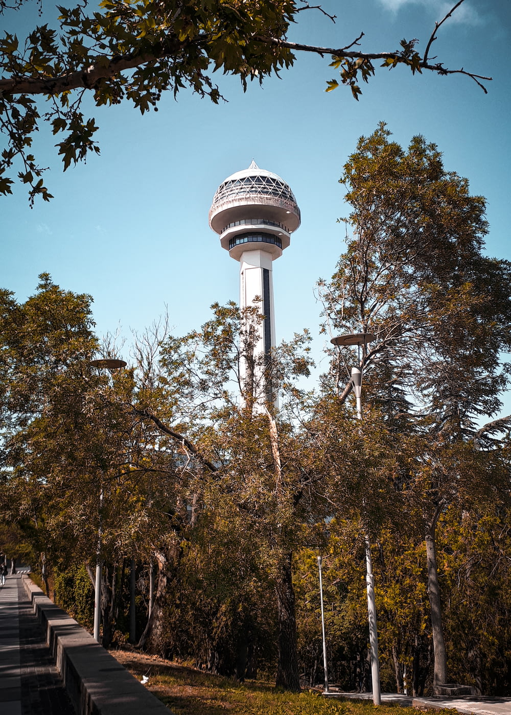 a water tower in the middle of a park