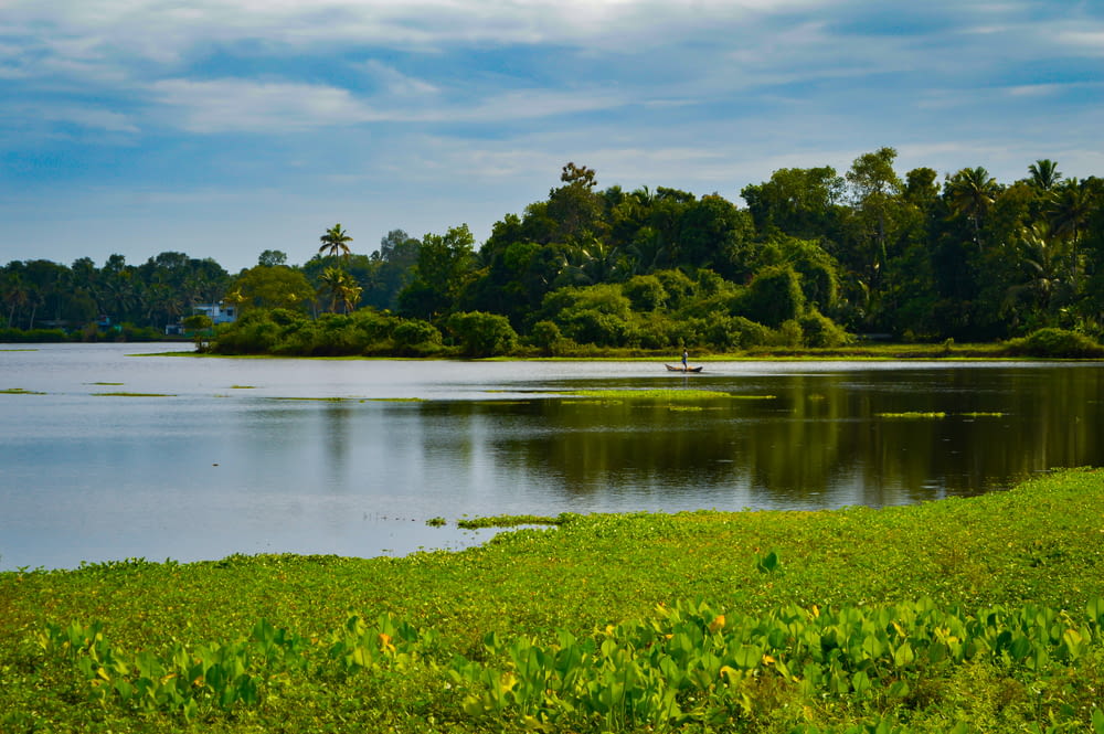 a body of water surrounded by lush green grass