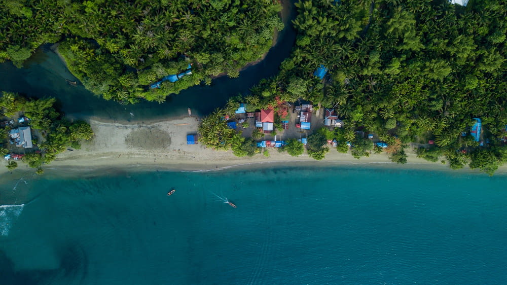an aerial view of a beach surrounded by trees