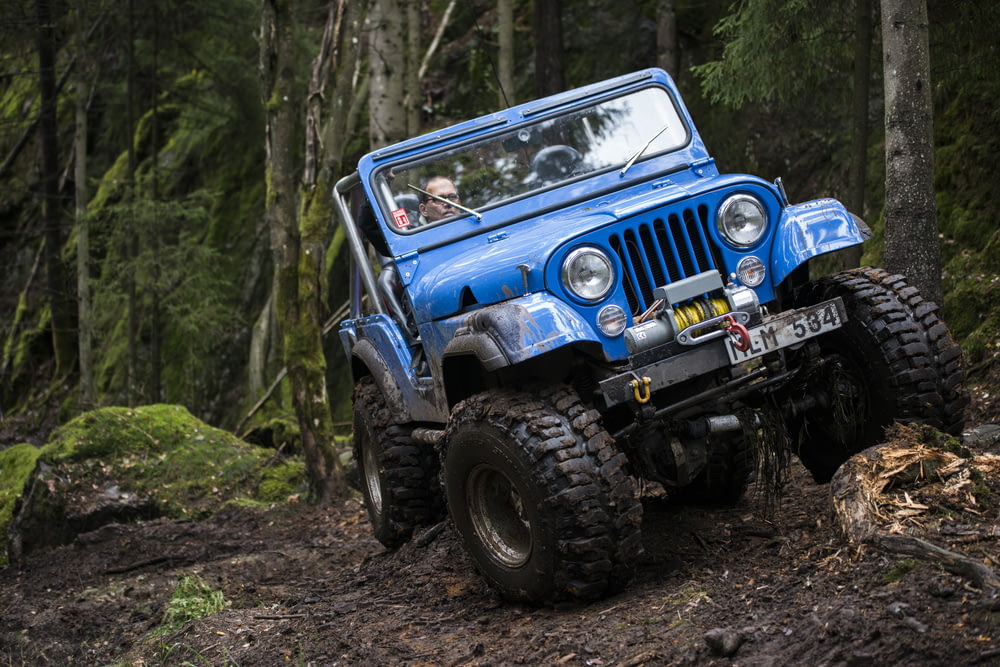 a blue jeep driving through a forest filled with trees