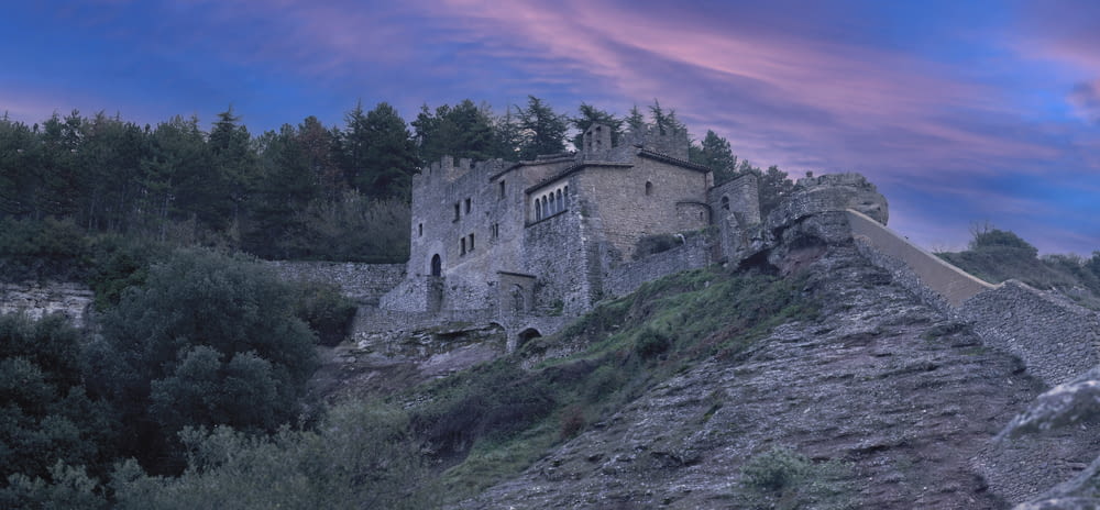 a castle on a hill with trees in the background