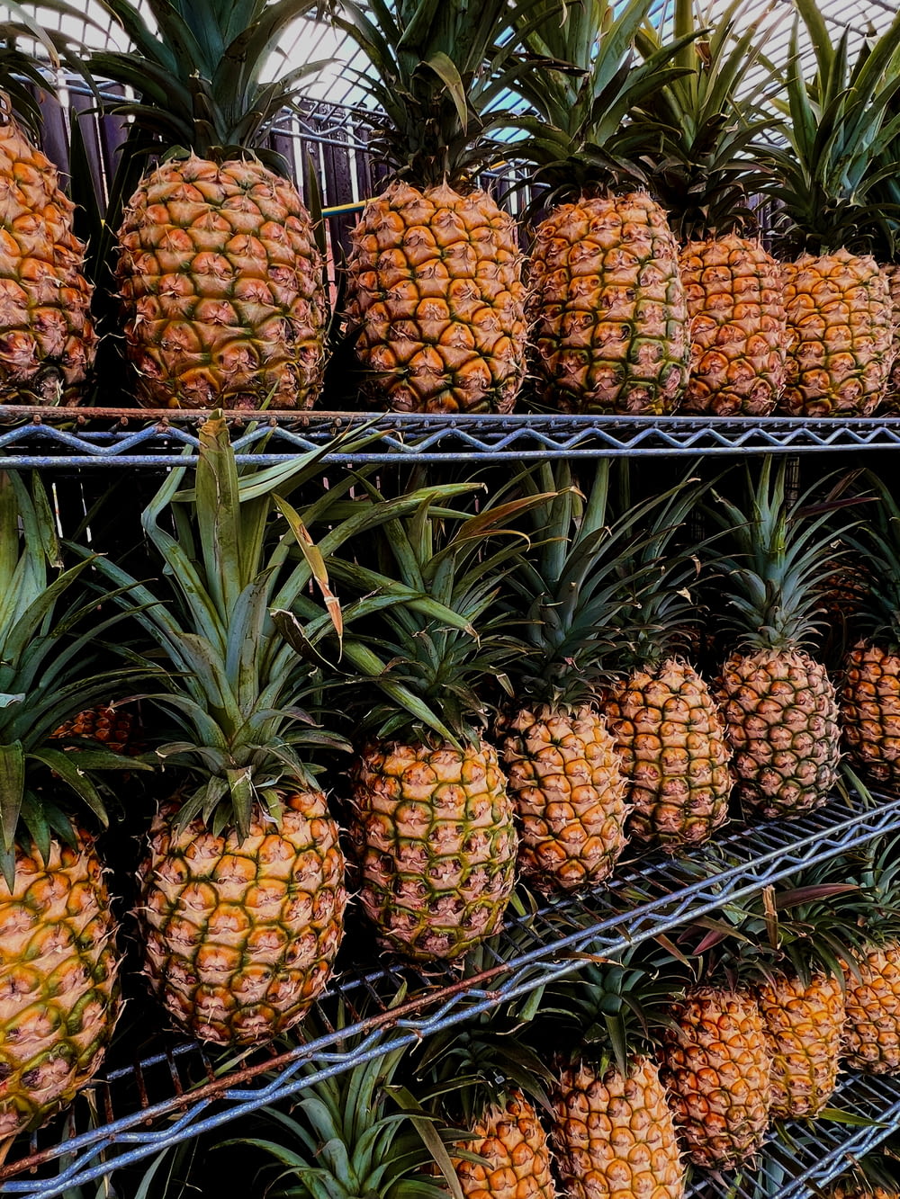 a bunch of pineapples sitting on shelves in a store