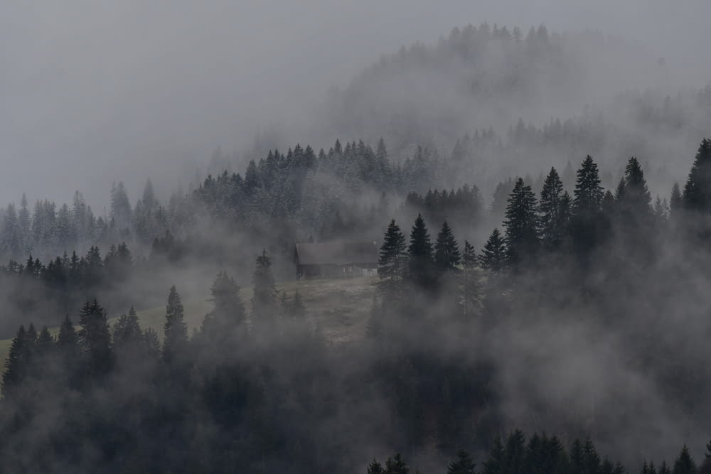 a mountain covered in fog and trees