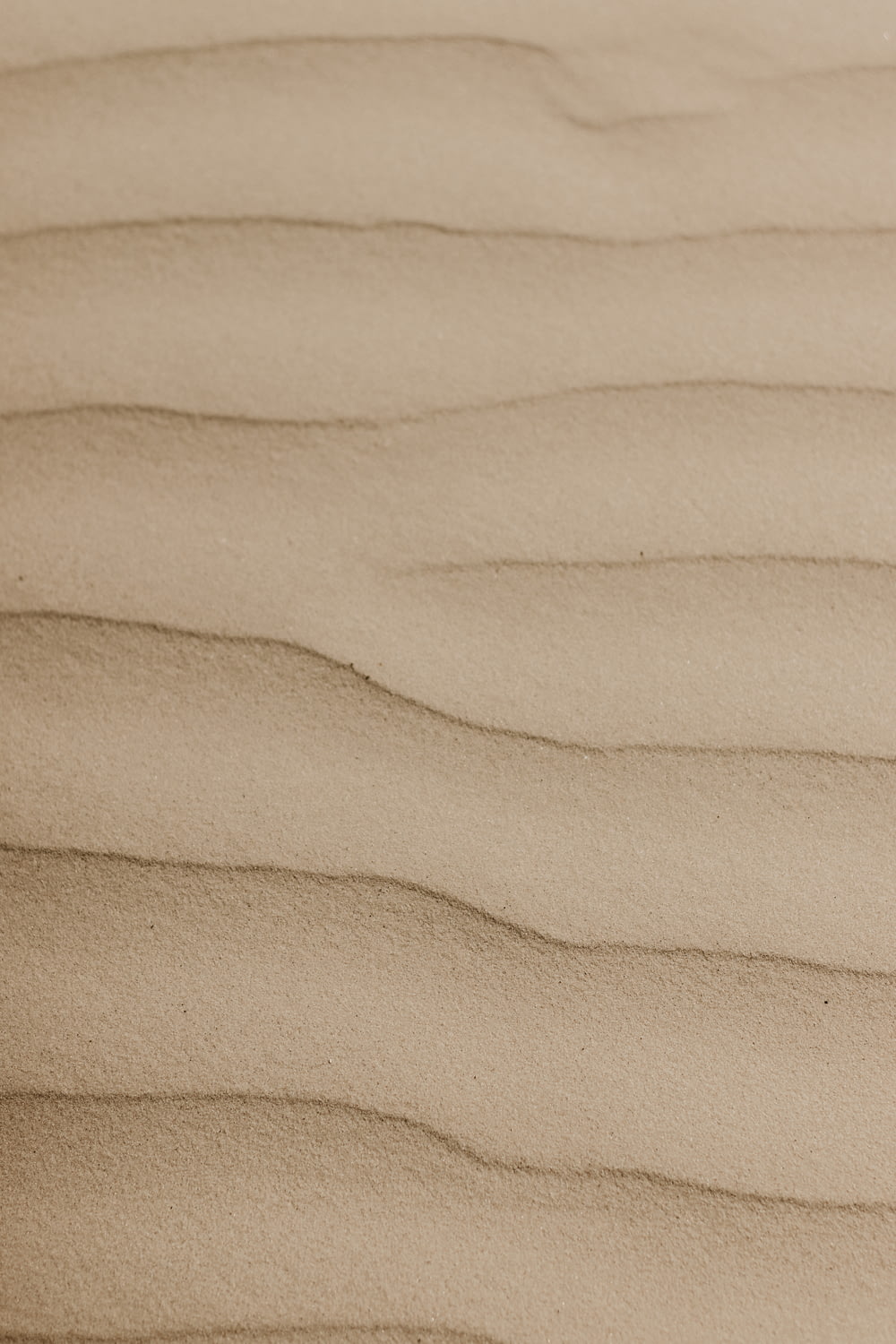 a close up of a sand dune with wavy lines