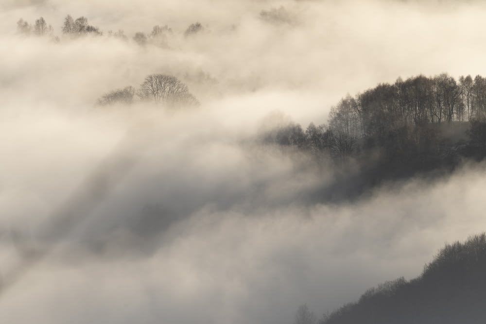 a mountain covered in fog with trees in the distance