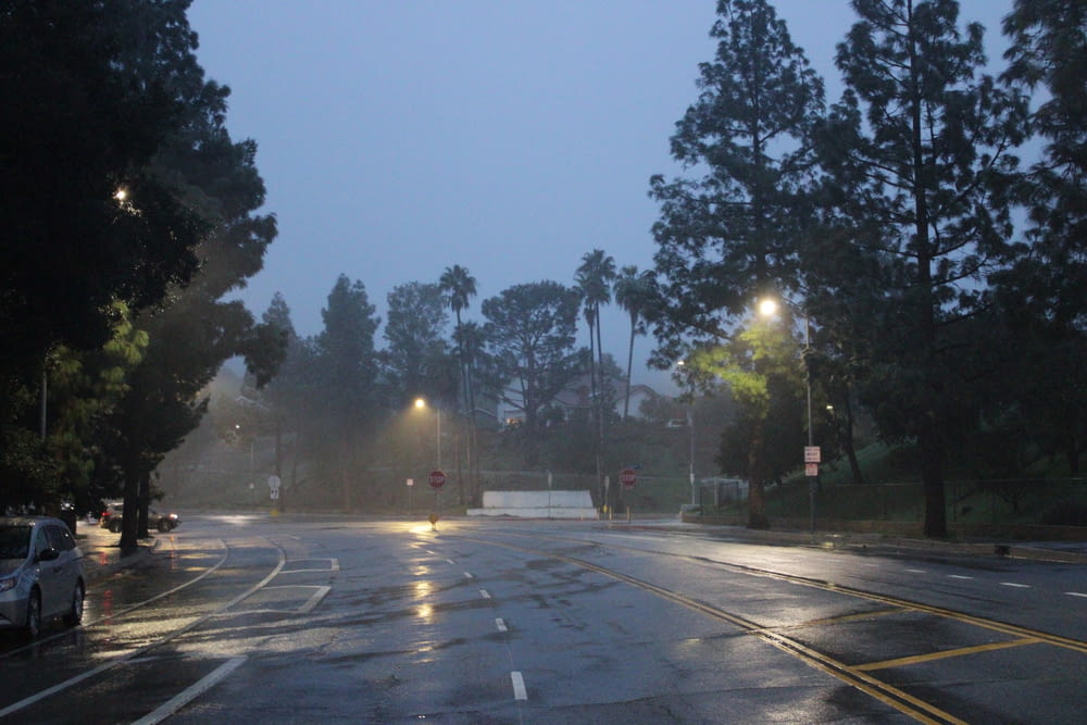 Une rue humide la nuit avec des lampadaires et des arbres