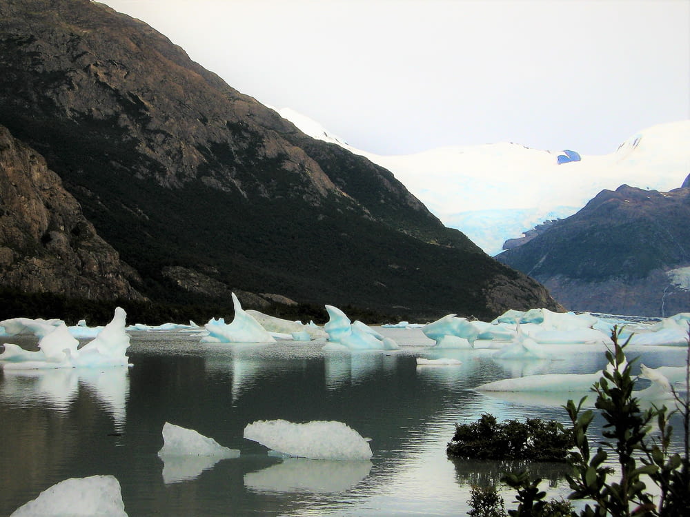 a group of icebergs floating in a lake surrounded by mountains