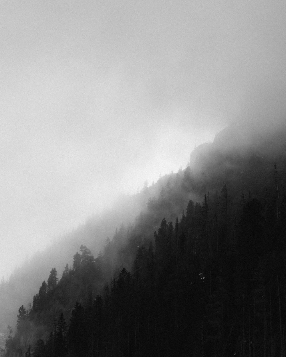 a black and white photo of a mountain covered in fog