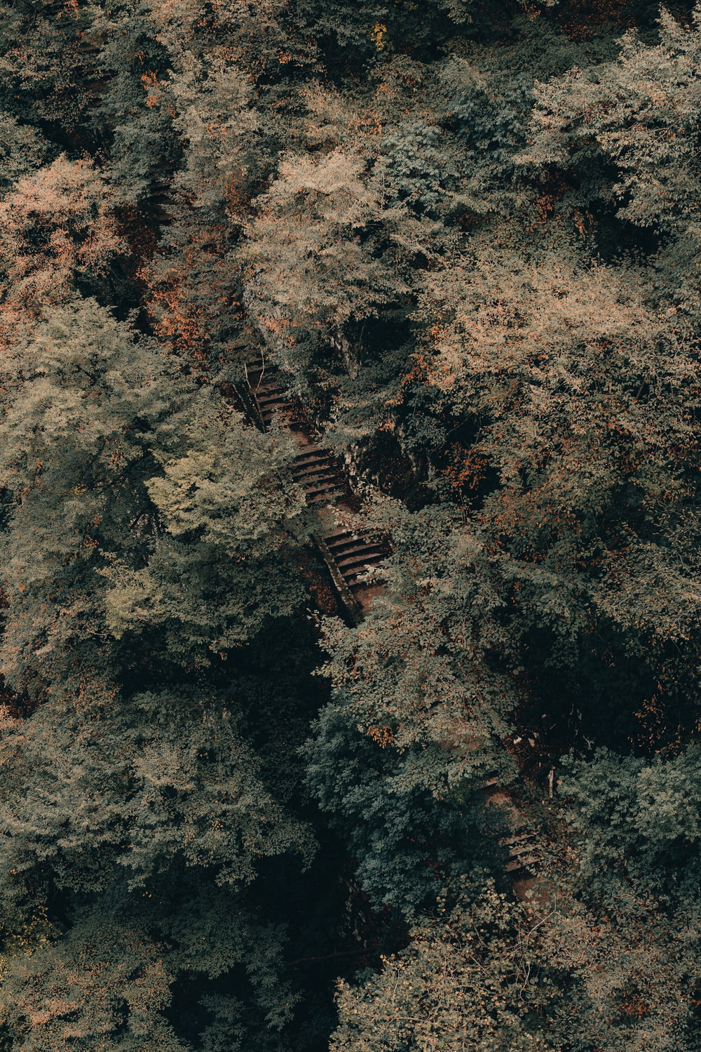 an aerial view of a wooded area with a train on the tracks