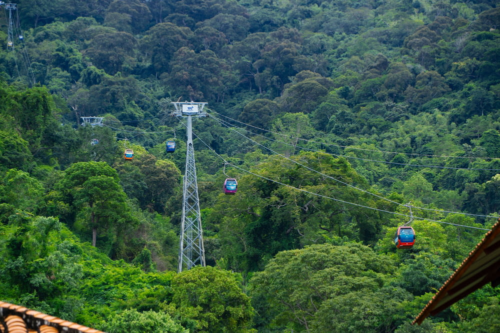 a cable car going through a lush green forest