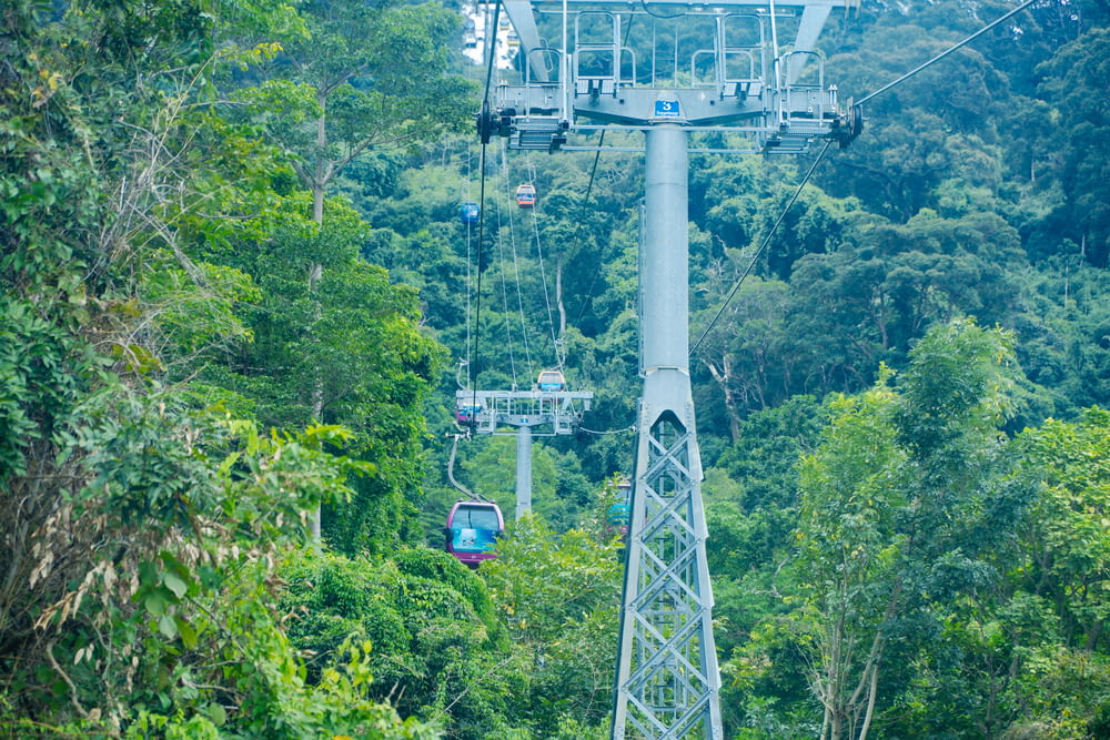 a cable car in the middle of a forest