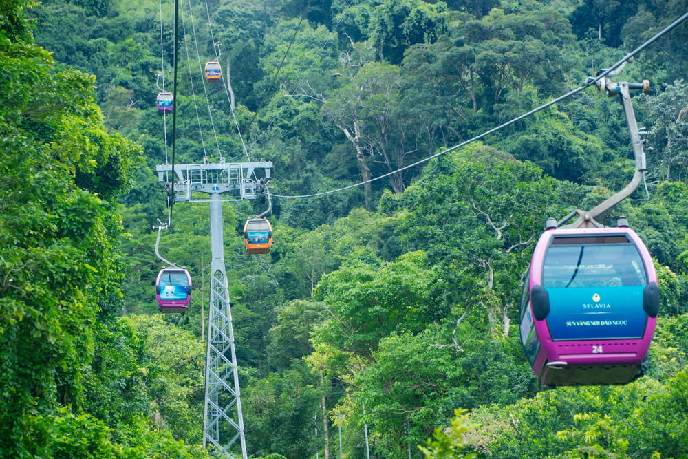 a colorful cable car going through the jungle