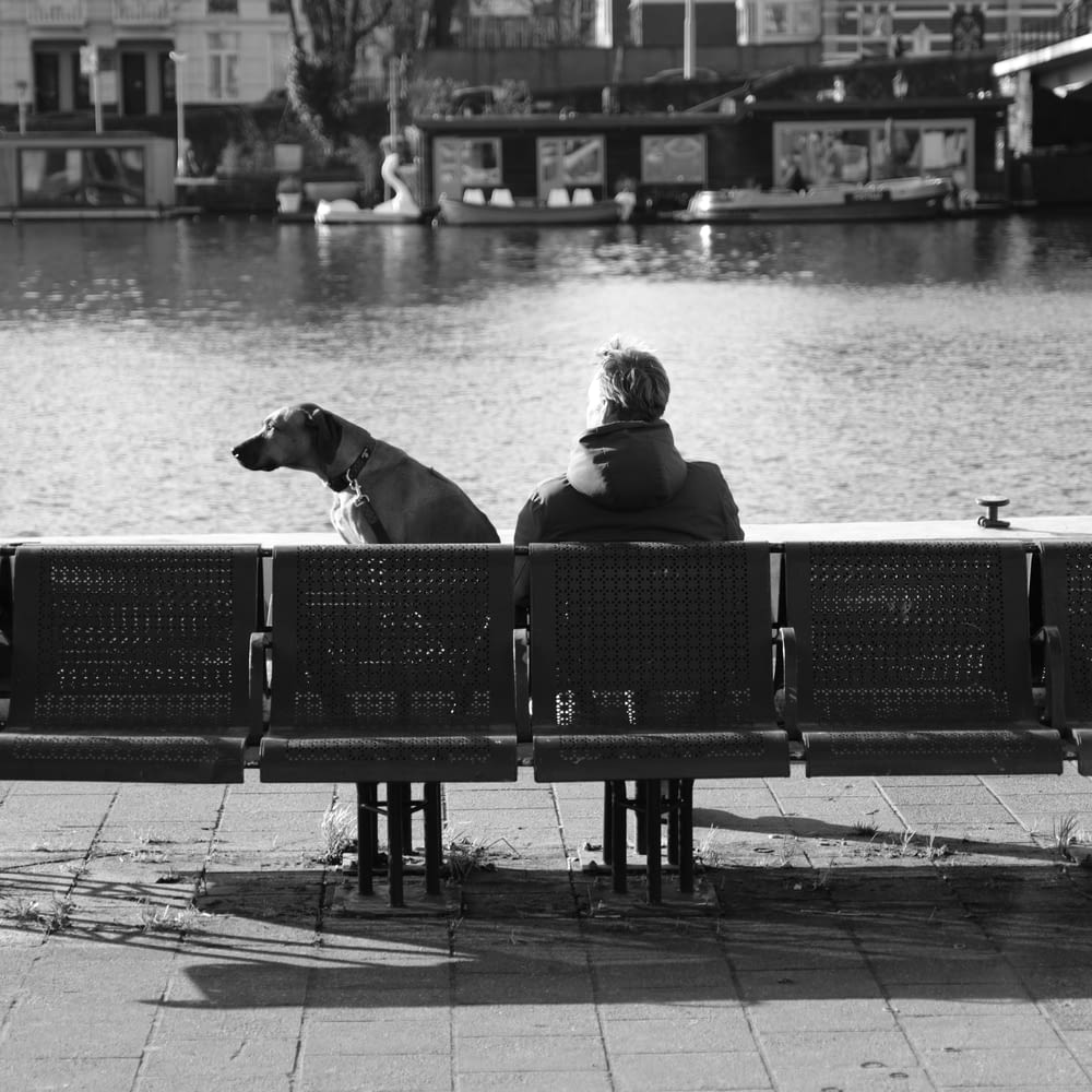 a couple of people sitting on a bench with a dog