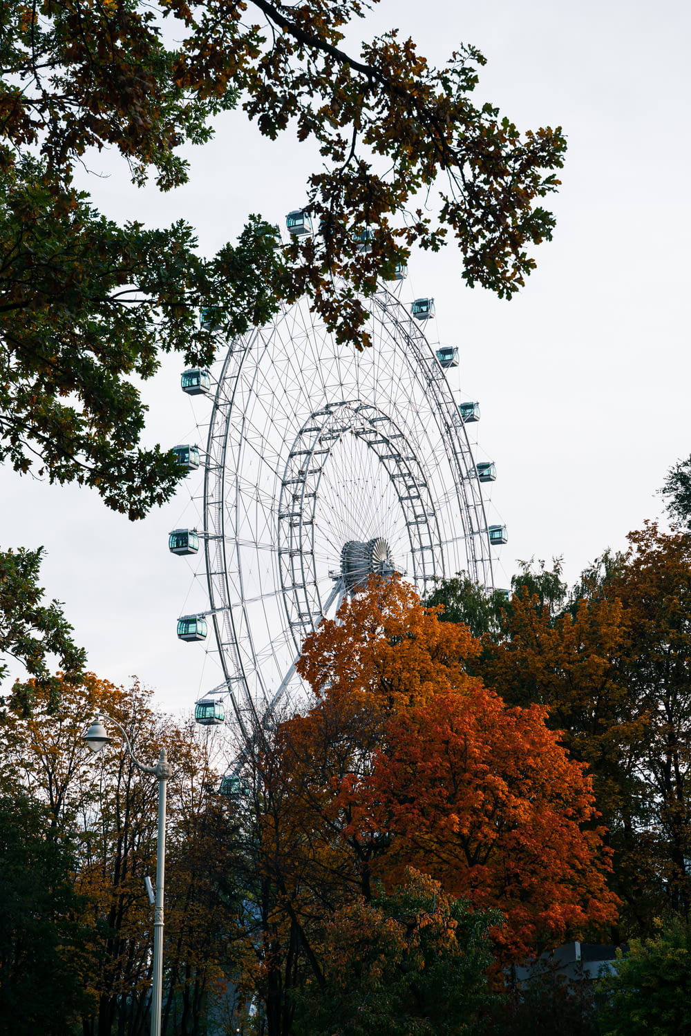 a large ferris wheel in the middle of a park