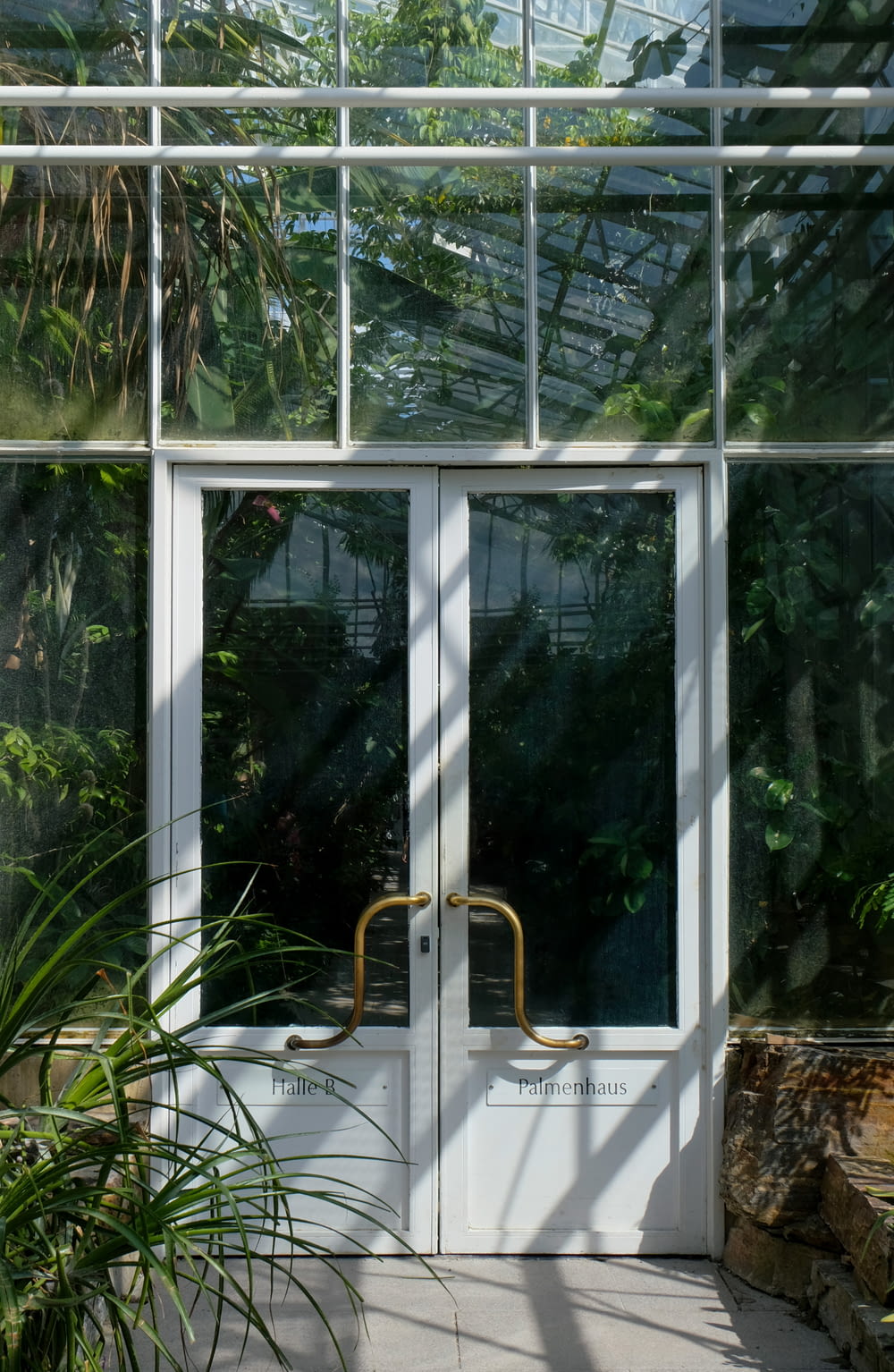 a white door with a glass window in a greenhouse