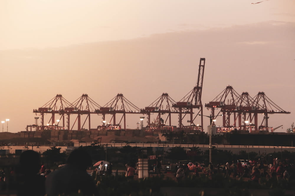 a large group of cranes sitting in a harbor