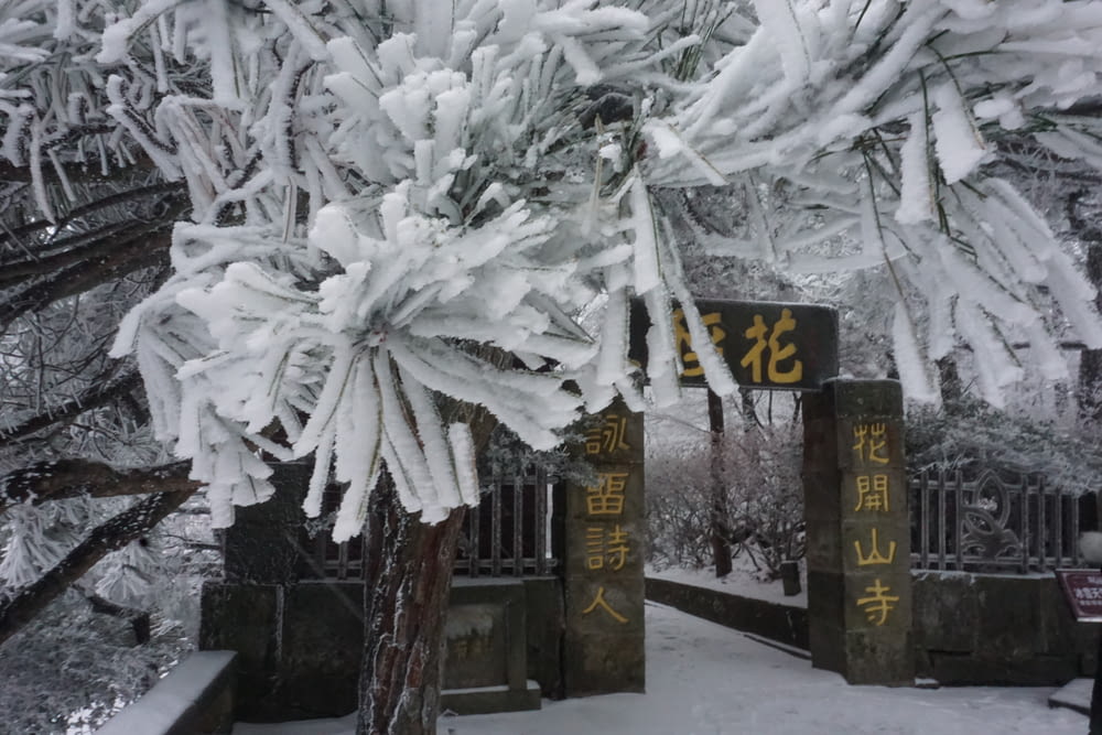 Un árbol cubierto de nieve con escritura china en él