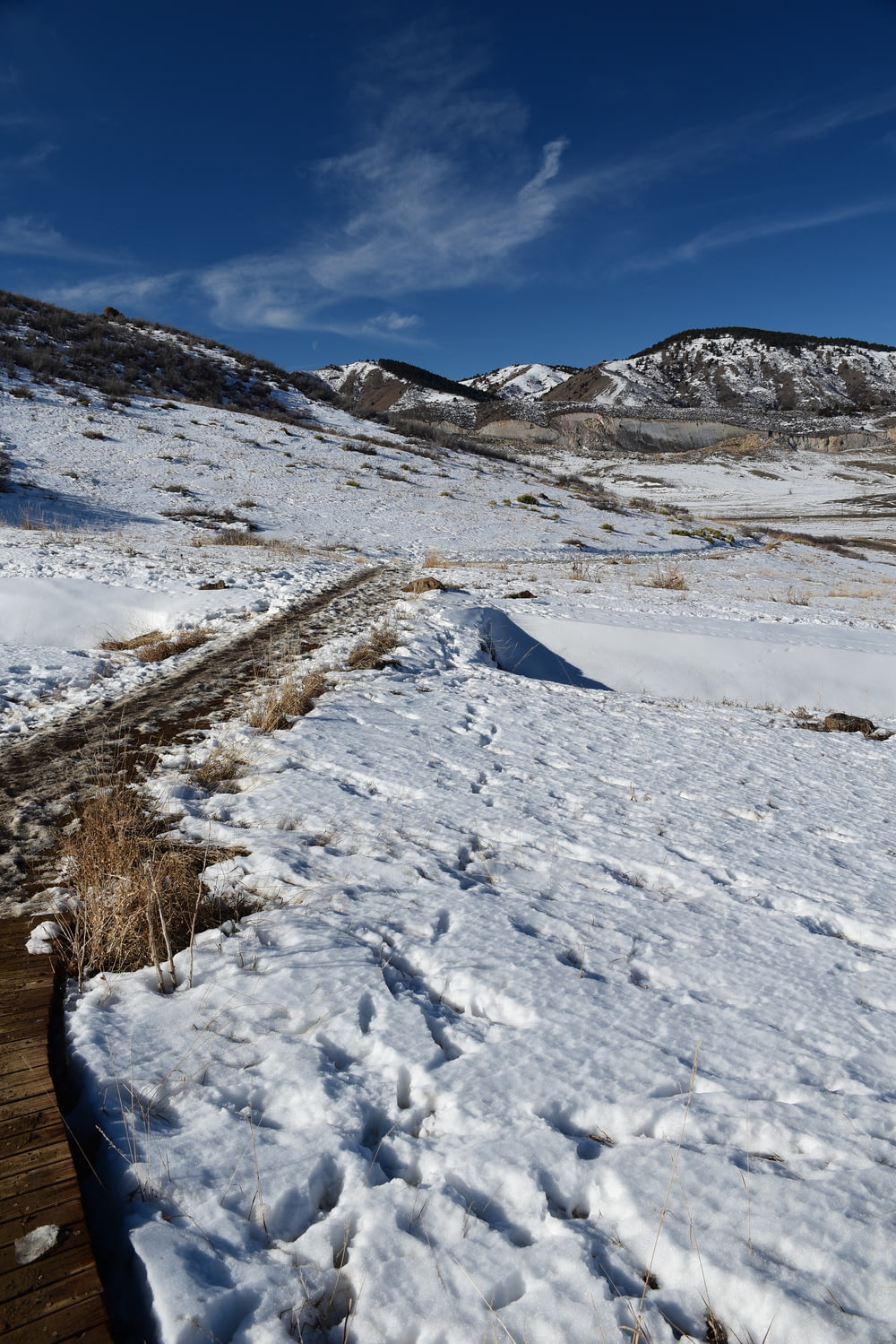 un campo cubierto de nieve con una pasarela de madera