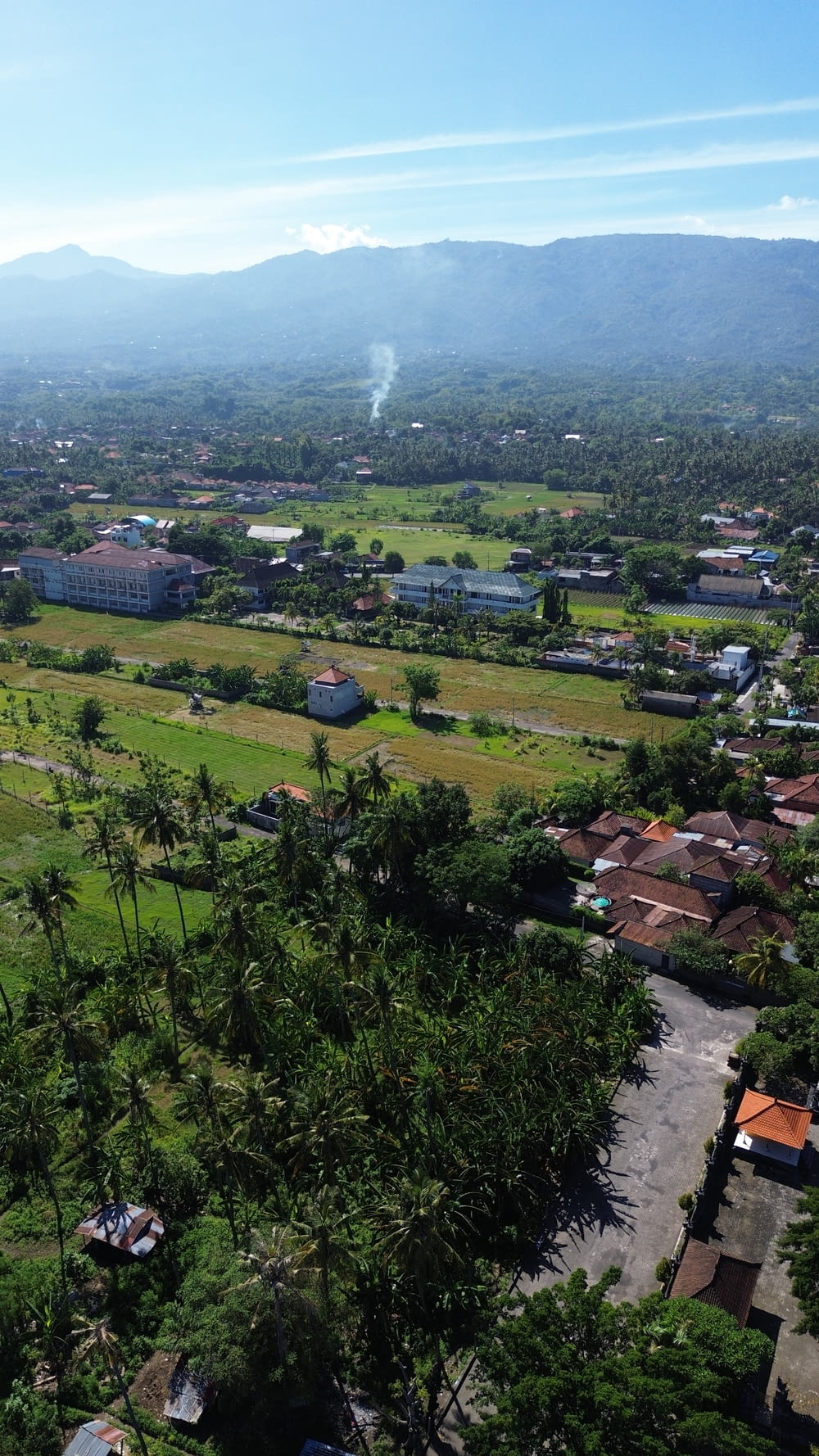 an aerial view of a small town surrounded by trees