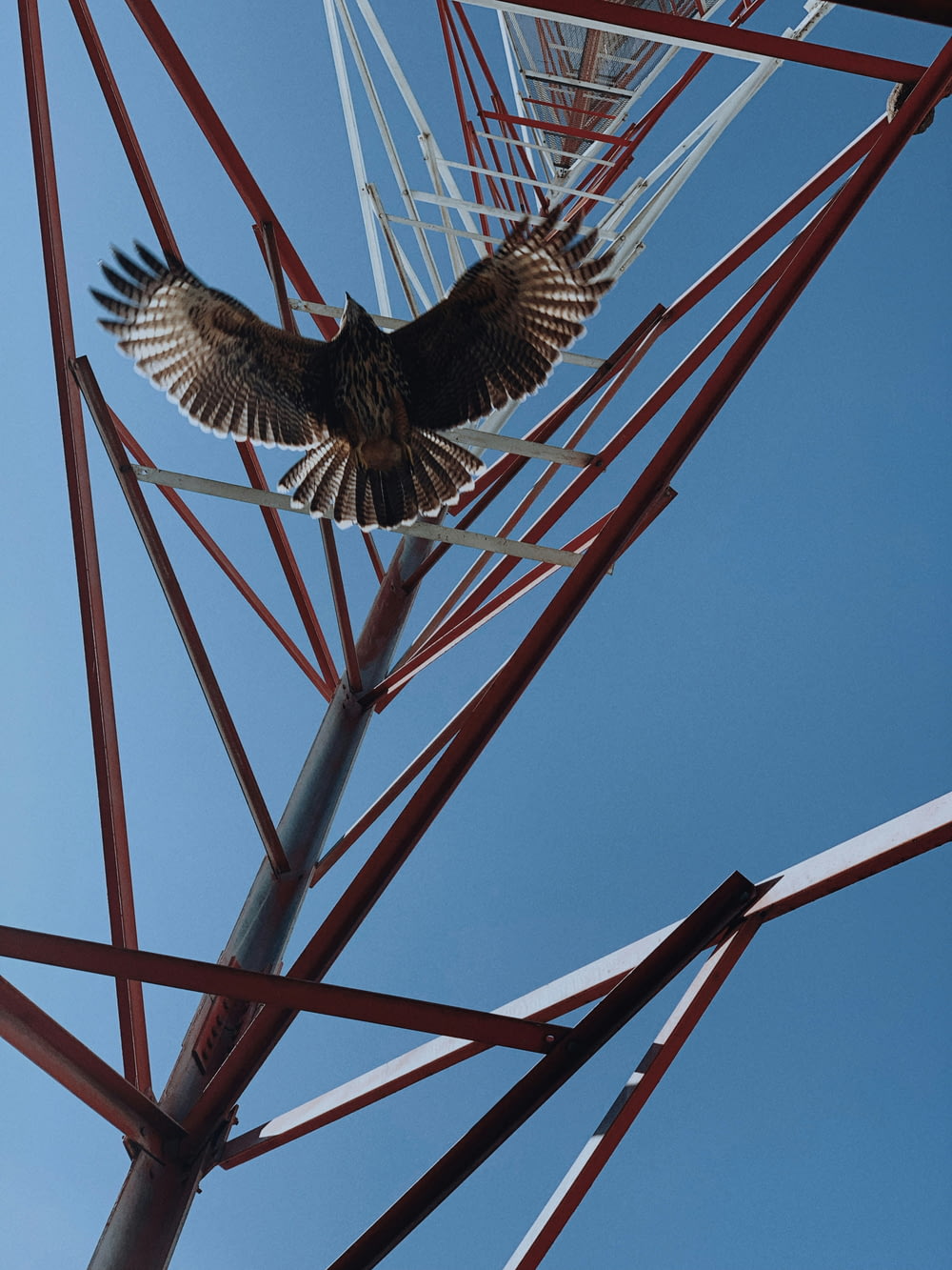 a bird is perched on top of a metal structure