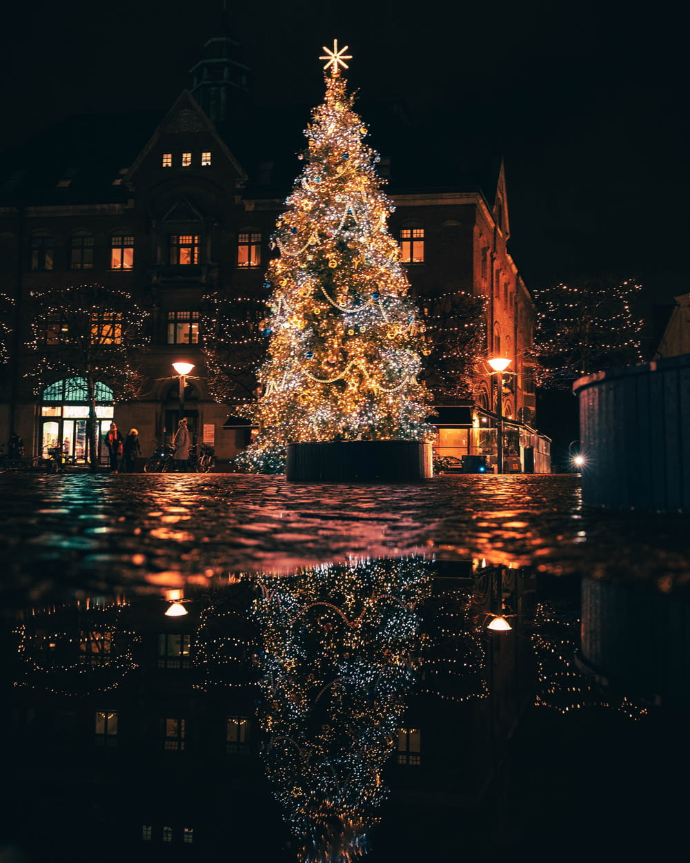 a lit christmas tree in front of a building
