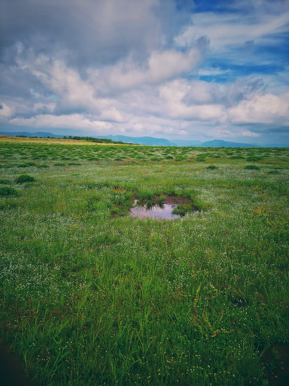 a field with a puddle of water in the middle of it