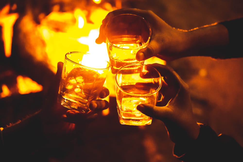 a group of people toasting glasses over a fire