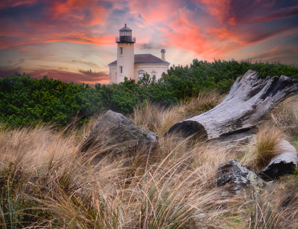 a lighthouse on top of a hill surrounded by tall grass