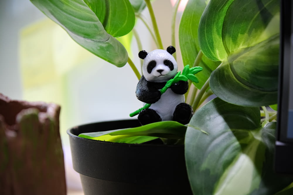 a small panda bear sitting on top of a plant