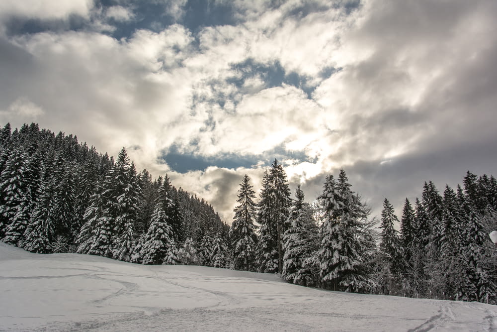 a snow covered field with trees and clouds in the background