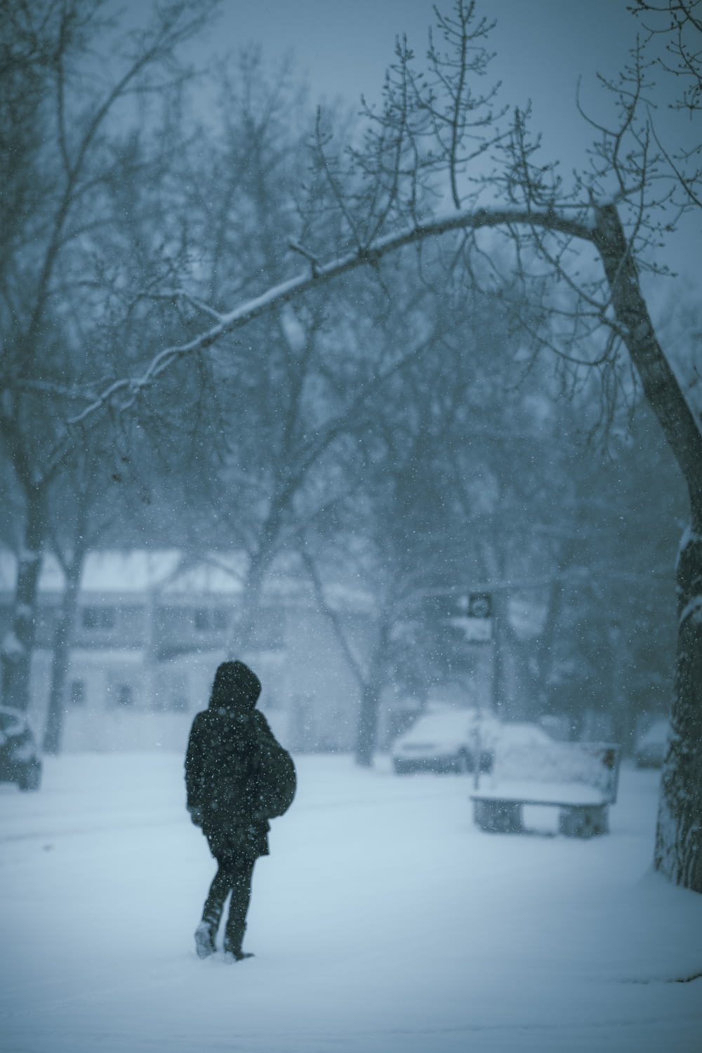 a person walking in the snow in a park