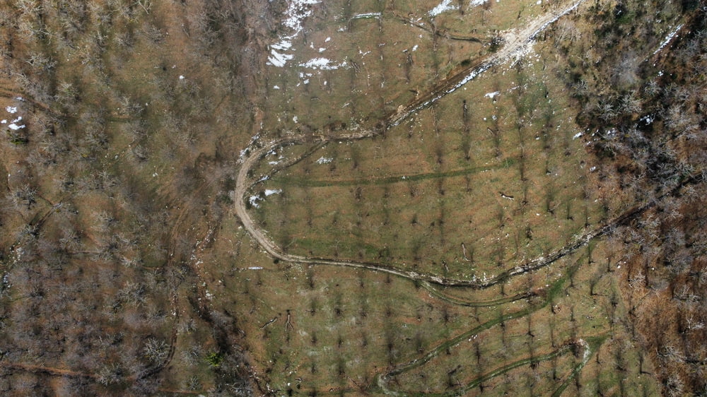 an aerial view of a tree covered hillside