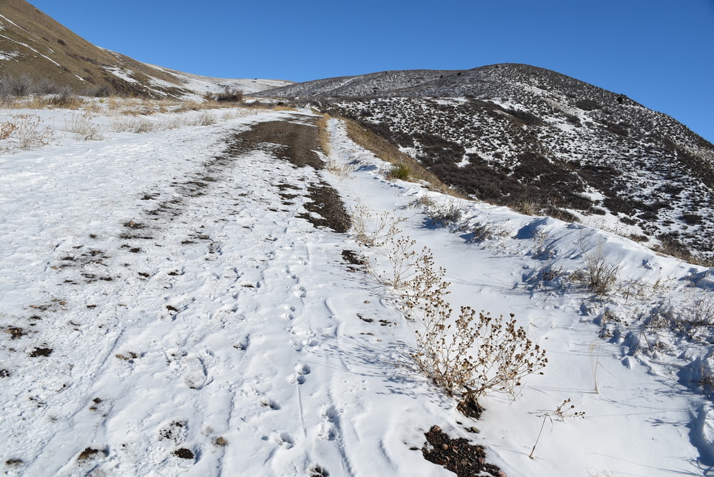 uma montanha coberta de neve com uma trilha passando por ela