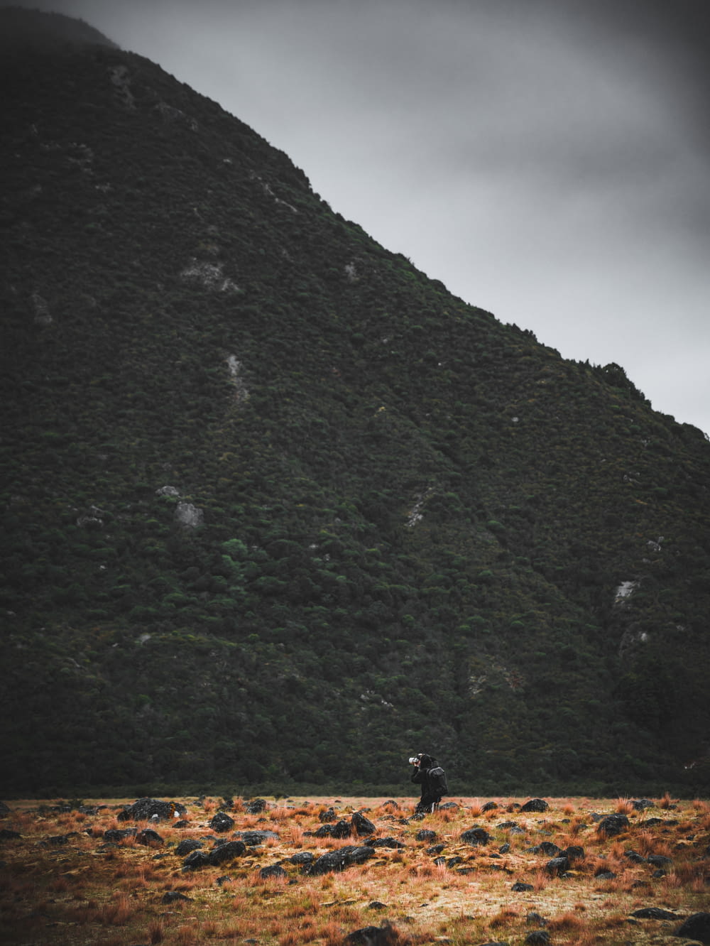 a person standing in a field with a mountain in the background