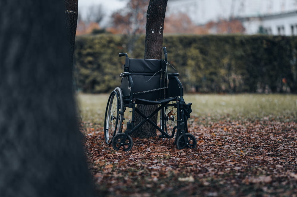 un fauteuil roulant assis sous un arbre dans un parc