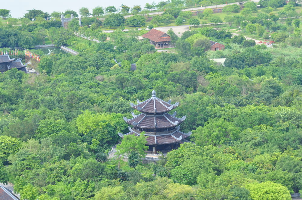 a view of a pagoda in the middle of a forest