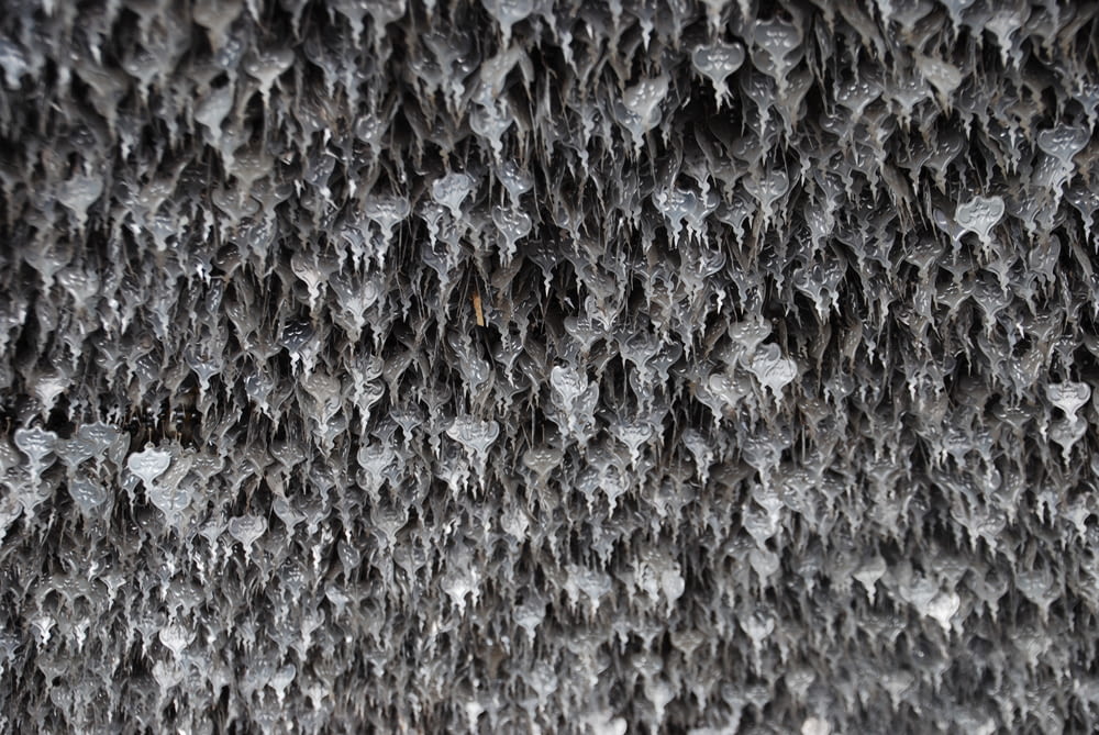a close up of a bunch of water droplets on a wall