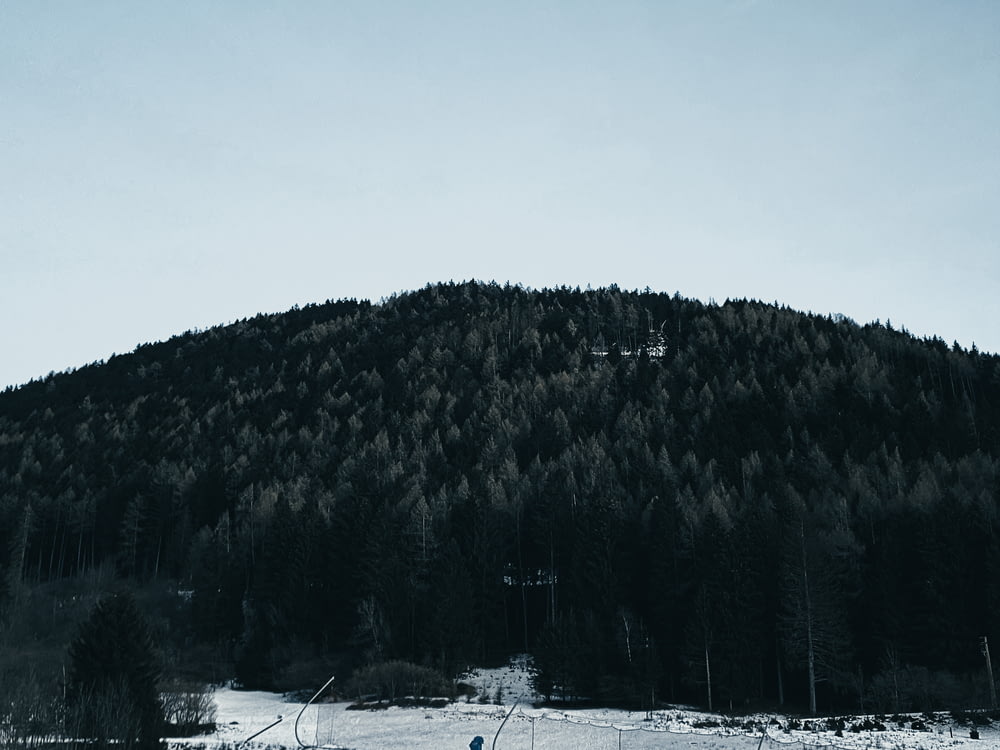 a snow covered mountain with trees in the background