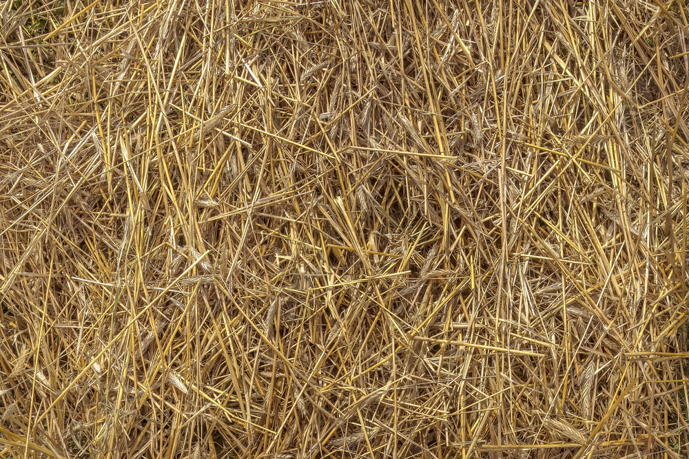 a large pile of hay sitting on top of a field