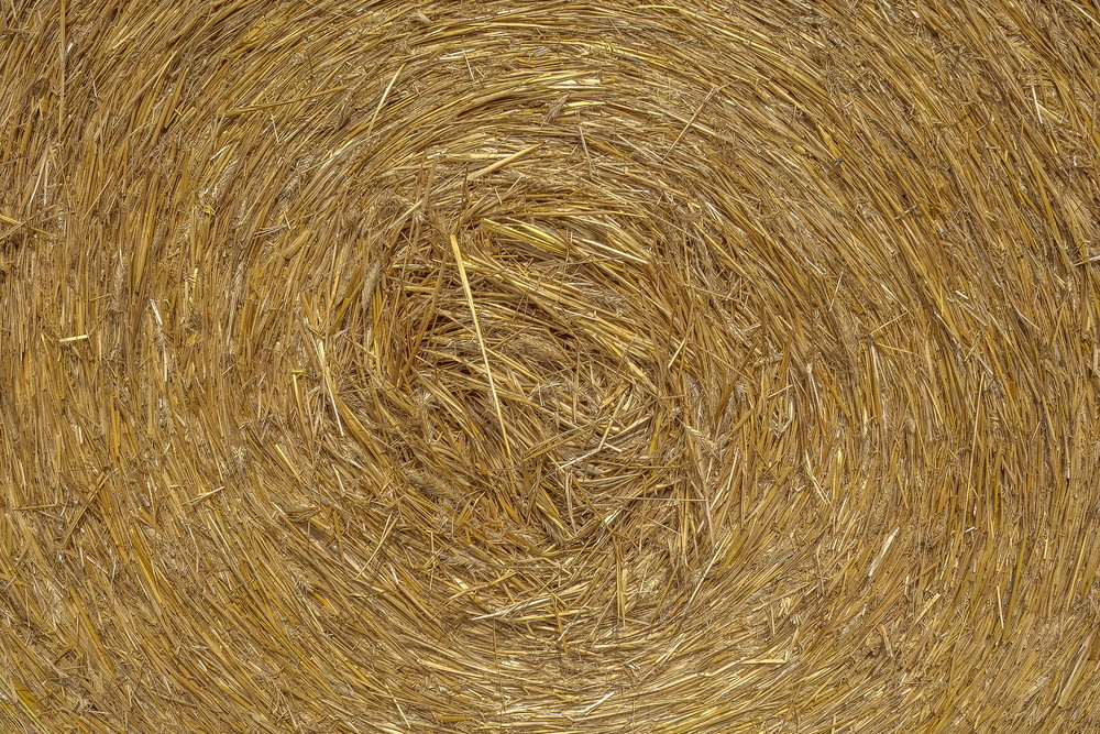 a close up view of a round bale of hay