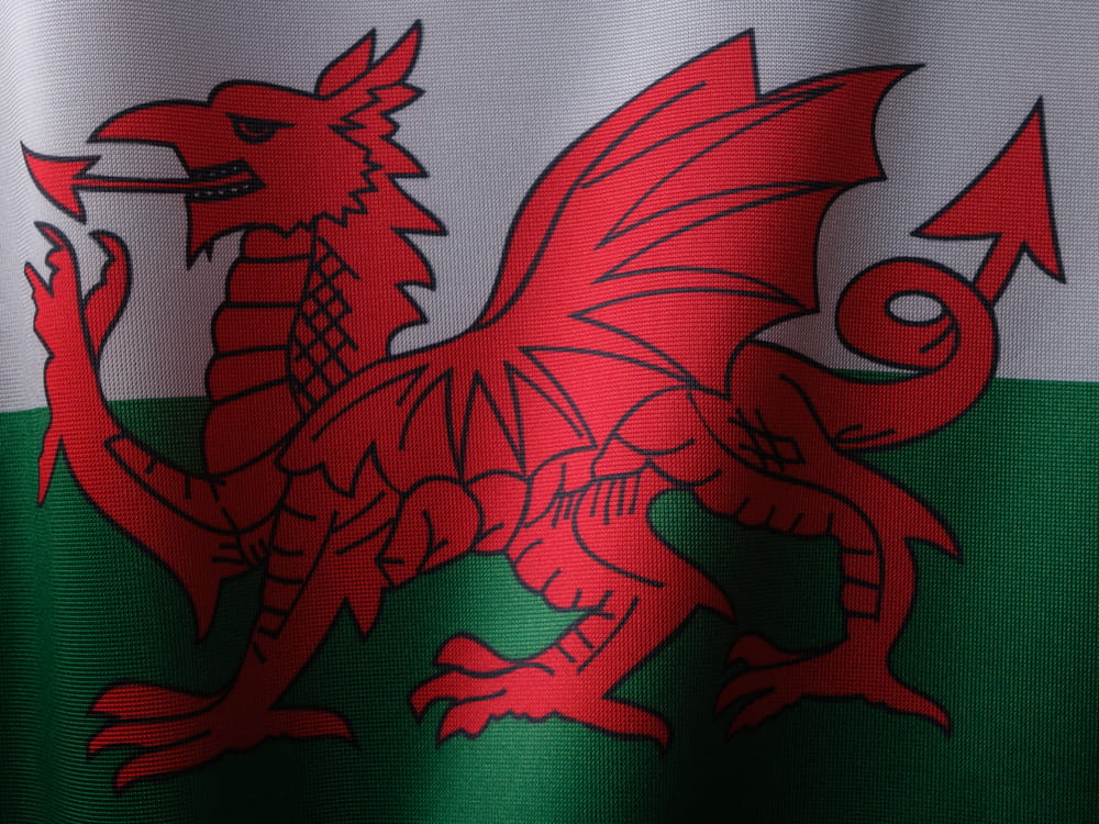 a close up of a flag with a dragon on it