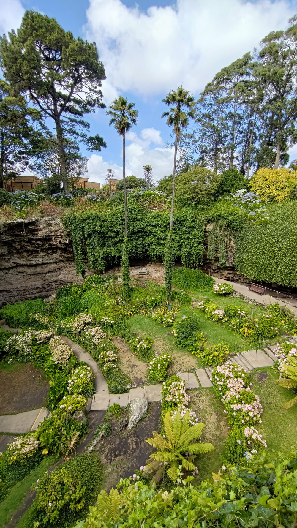 a garden with a lot of plants and trees